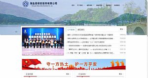 海盐县保安服务有限公司的网站截图