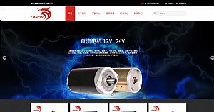 海盐龙博直流电机有限公司的网站截图